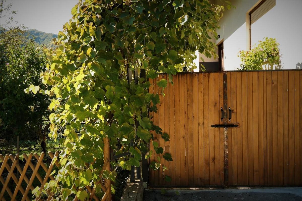 Moksha Slovenia 톨민 외부 사진